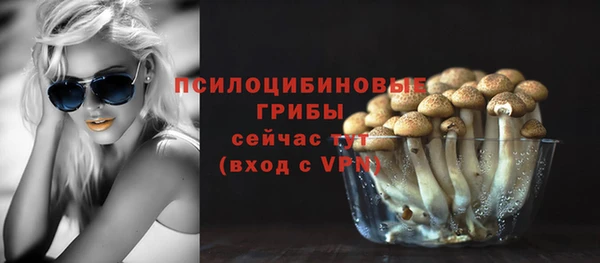 Альфа ПВП Заволжье