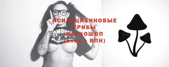 скорость Заводоуковск